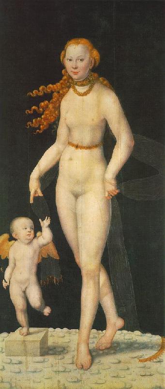 CRANACH, Lucas the Younger Venus and Amor fghe